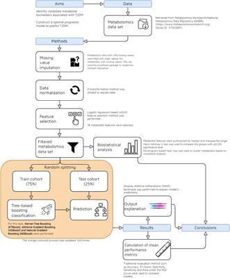 Enhancing type 2 diabetes mellitus prediction by integrating metabolomics and tree-based boosting approaches